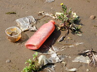 Debris is floating downstream, brought by the 2023 Yangtze River flood, near the Linjiangxi Bridge in Yichang on the Yangtze River in Yichan...