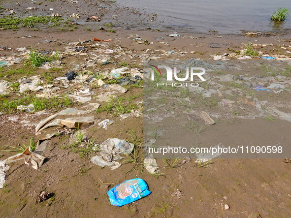 Debris is floating downstream, brought by the 2023 Yangtze River flood, near the Linjiangxi Bridge in Yichang on the Yangtze River in Yichan...