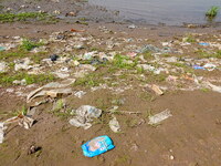 Debris is floating downstream, brought by the 2023 Yangtze River flood, near the Linjiangxi Bridge in Yichang on the Yangtze River in Yichan...