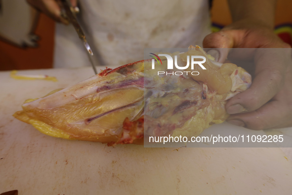 A chicken is being cut into pieces for sale at a market in Mexico City. Recently, the Ministry of Health of Tlaxcala in Mexico issued an epi...