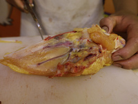 A chicken is being cut into pieces for sale at a market in Mexico City. Recently, the Ministry of Health of Tlaxcala in Mexico issued an epi...