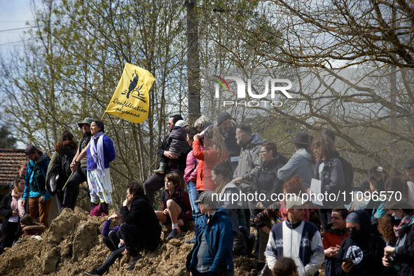 People are waiting for the 'Ecureuils' to climb down from the trees they have occupied for 37 days to prevent them from being cut down. Afte...