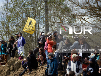 People are waiting for the 'Ecureuils' to climb down from the trees they have occupied for 37 days to prevent them from being cut down. Afte...