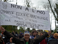 A man is holding a banner that reads 'No to the A69, ecocidal anachronic slaughter'. After spending 37 days in the trees, the last three 'Ec...