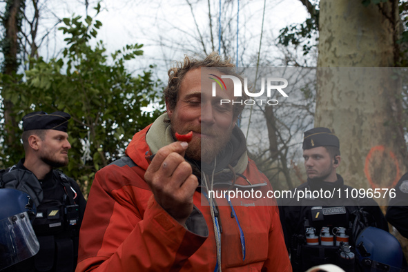 Reva, one of the Ecureuils, is eating a strawberry, enjoying fresh fruit for the first time in 37 days. After spending 37 days in the trees,...