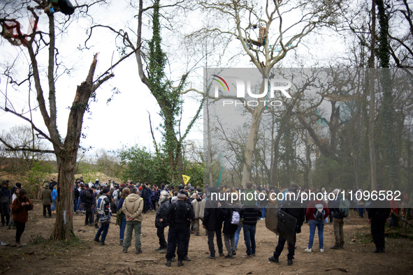 People are gathering in Cram'Arbre after a 37-day police siege for the 'Ecureuils'. The last three 'Ecureuils', who have been living in the...