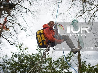 Reva is climbing down from Majo, a plane tree he has occupied for 37 days. After spending 37 days in the trees, the last three 'Ecureuils' (...