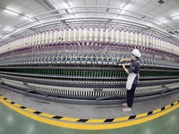 A worker is operating an intelligent production line at a textile company in Taizhou, Jiangsu Province, China, on March 26, 2024. (