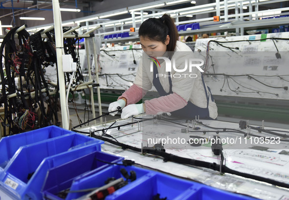 A worker is working on a production line of wiring harness products for a complete vehicle at a workshop of a technology company in Fuyang,...