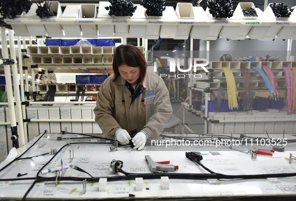 A worker is working on a production line of wiring harness products for a complete vehicle at a workshop of a technology company in Fuyang,...