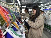 Workers are working on a production line of wiring harness products for complete vehicles at a workshop of a technology company in Fuyang, C...