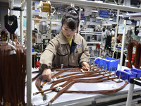 A worker is working on a production line of wiring harness products for a complete vehicle at a workshop of a technology company in Fuyang,...