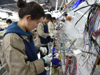 Workers are working on a production line of wiring harness products for complete vehicles at a workshop of a technology company in Fuyang, C...