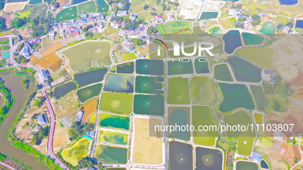 An aerial photo is showing fish ponds nestled between villages, fields, and rivers in Chongqing, China, on March 28, 2024. 