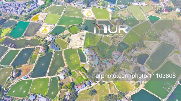 An aerial photo is showing fish ponds nestled between villages, fields, and rivers in Chongqing, China, on March 28, 2024. 