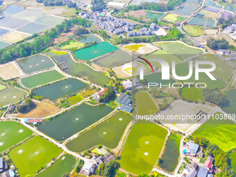 An aerial photo is showing fish ponds nestled between villages, fields, and rivers in Chongqing, China, on March 28, 2024. (