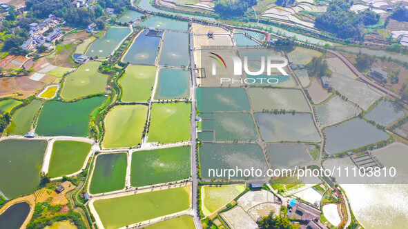 An aerial photo is showing fish ponds nestled between villages, fields, and rivers in Chongqing, China, on March 28, 2024. 