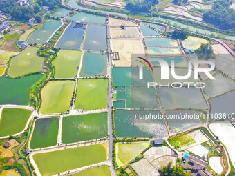 An aerial photo is showing fish ponds nestled between villages, fields, and rivers in Chongqing, China, on March 28, 2024. (