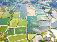 An aerial photo is showing fish ponds nestled between villages, fields, and rivers in Chongqing, China, on March 28, 2024. (