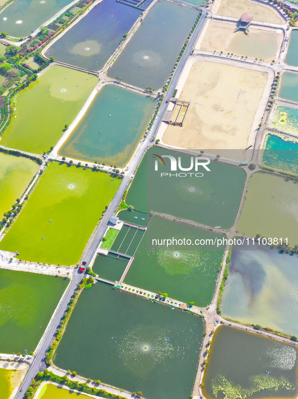 An aerial photo is showing fish ponds nestled between villages, fields, and rivers in Chongqing, China, on March 28, 2024. 