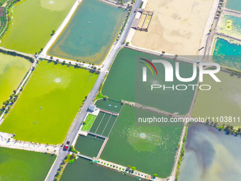 An aerial photo is showing fish ponds nestled between villages, fields, and rivers in Chongqing, China, on March 28, 2024. (