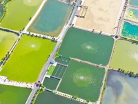 An aerial photo is showing fish ponds nestled between villages, fields, and rivers in Chongqing, China, on March 28, 2024. (