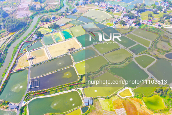 An aerial photo is showing fish ponds nestled between villages, fields, and rivers in Chongqing, China, on March 28, 2024. 