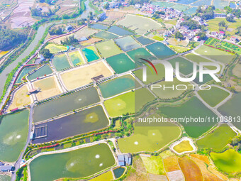 An aerial photo is showing fish ponds nestled between villages, fields, and rivers in Chongqing, China, on March 28, 2024. (