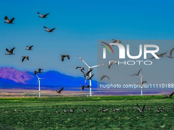 Wind power facilities are being seen in Xinjiang, China, on April 29, 2017. Xinjiang is integrating wind, solar, hydro, biomass, geothermal,...