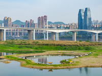 Tourists are camping and playing on the river beach as the water levels of the Yangtze and Jialing rivers continue to fall in Chongqing, Chi...