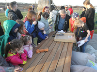 Bats from the Red Book are being released into their natural habitat in Zelenyi Hai, after being rescued during the winter in Dnipro and the...