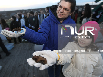 Bats from the Red Book are being released into their natural habitat in Zelenyi Hai, after being rescued during the winter in Dnipro and the...