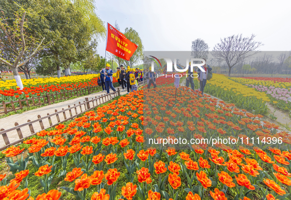 Primary school students are participating in a research activity amid blooming flowers at the Hongze Lake Wetland scenic spot in Sihong Coun...