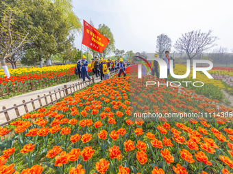 Primary school students are participating in a research activity amid blooming flowers at the Hongze Lake Wetland scenic spot in Sihong Coun...