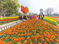 Primary school students are participating in a research activity amid blooming flowers at the Hongze Lake Wetland scenic spot in Sihong Coun...