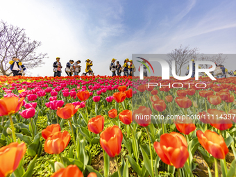 Primary school students are participating in a research activity amid blooming flowers at the Hongze Lake Wetland scenic spot in Sihong Coun...