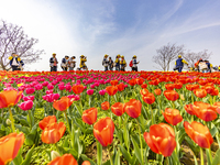 Primary school students are participating in a research activity amid blooming flowers at the Hongze Lake Wetland scenic spot in Sihong Coun...