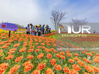 Primary school students are participating in a research activity amid blooming flowers at the Hongze Lake Wetland scenic spot in Sihong Coun...