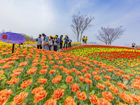 Primary school students are participating in a research activity amid blooming flowers at the Hongze Lake Wetland scenic spot in Sihong Coun...