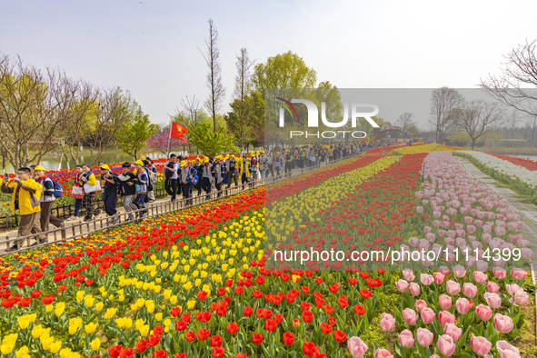 Primary school students are participating in a research activity amid blooming flowers at the Hongze Lake Wetland scenic spot in Sihong Coun...