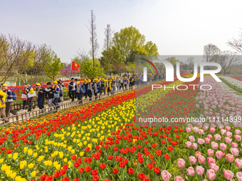 Primary school students are participating in a research activity amid blooming flowers at the Hongze Lake Wetland scenic spot in Sihong Coun...