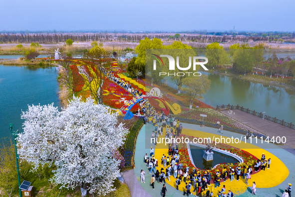 Primary school students are participating in a research activity amid blooming flowers at the Hongze Lake Wetland scenic spot in Sihong Coun...