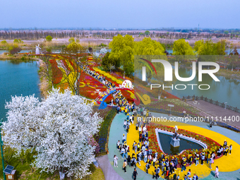 Primary school students are participating in a research activity amid blooming flowers at the Hongze Lake Wetland scenic spot in Sihong Coun...