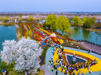 Primary school students are participating in a research activity amid blooming flowers at the Hongze Lake Wetland scenic spot in Sihong Coun...