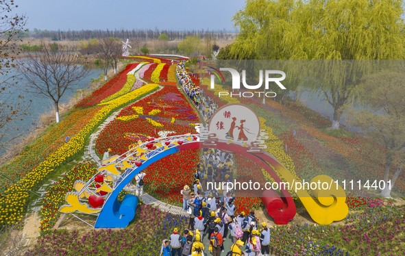 Primary school students are participating in a research activity amid blooming flowers at the Hongze Lake Wetland scenic spot in Sihong Coun...