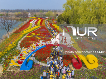 Primary school students are participating in a research activity amid blooming flowers at the Hongze Lake Wetland scenic spot in Sihong Coun...