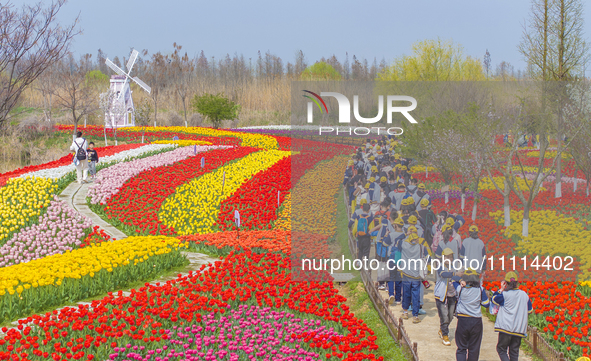 Primary school students are participating in a research activity amid blooming flowers at the Hongze Lake Wetland scenic spot in Sihong Coun...