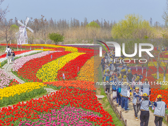 Primary school students are participating in a research activity amid blooming flowers at the Hongze Lake Wetland scenic spot in Sihong Coun...