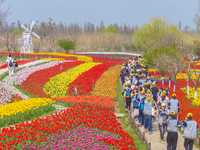 Primary school students are participating in a research activity amid blooming flowers at the Hongze Lake Wetland scenic spot in Sihong Coun...