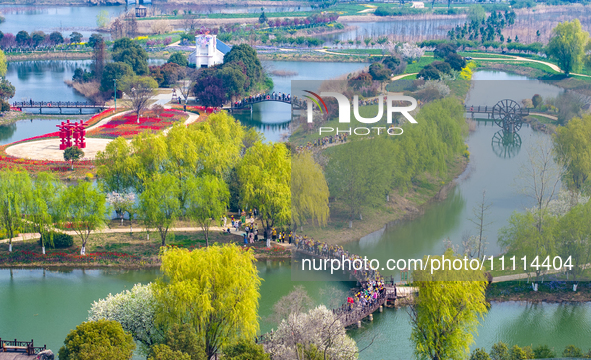 Primary school students are participating in a research activity amid blooming flowers at the Hongze Lake Wetland scenic spot in Sihong Coun...